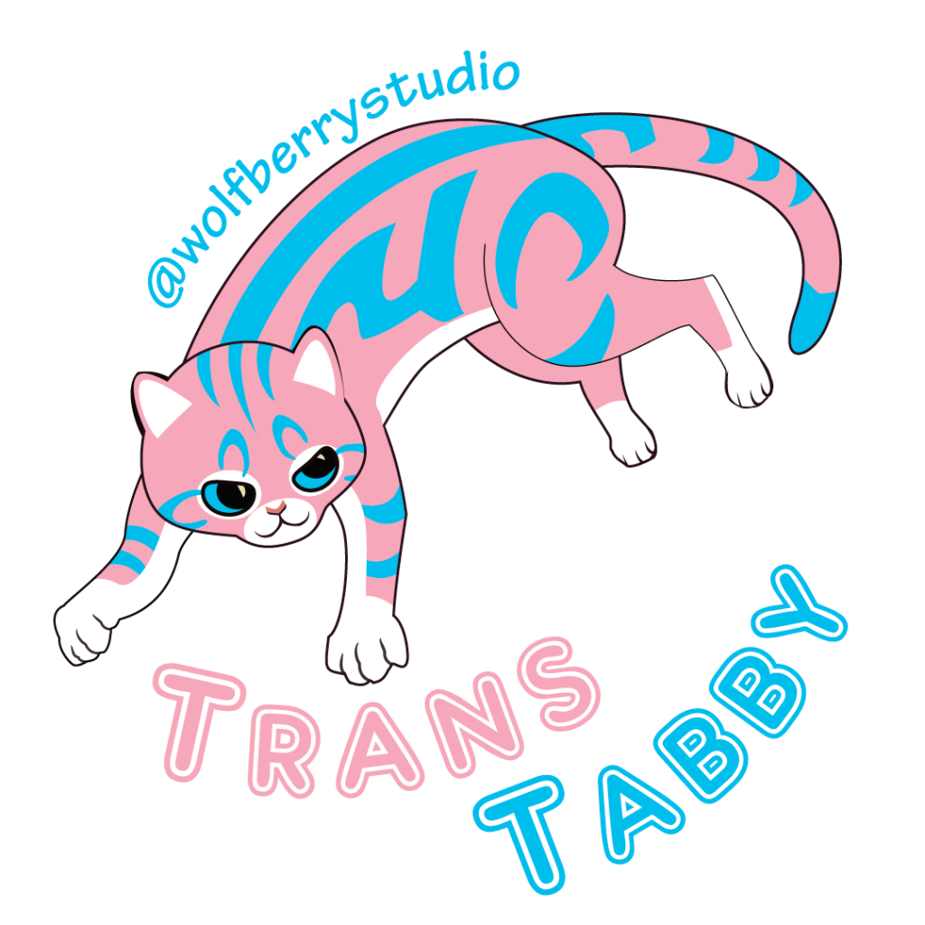 marble tabby in colors of transgender flag
