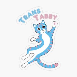 Clear sticker with tabby cat in colors of transgender flag