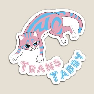 magnet with of tabby cat in colors of transgender flag